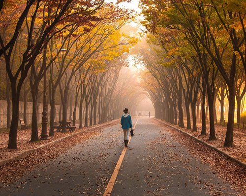 calm walk through an Indian city park